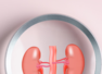 8 golden rules to prevent kidney problems