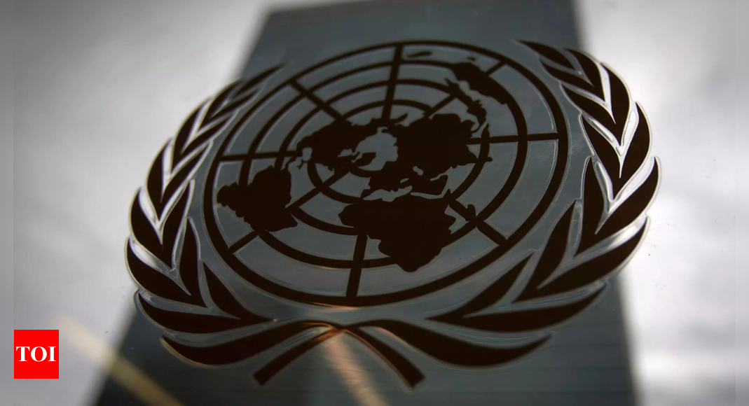 UN asks South Sudan to remove new taxes that led to a pause in food airdrops – Times of India