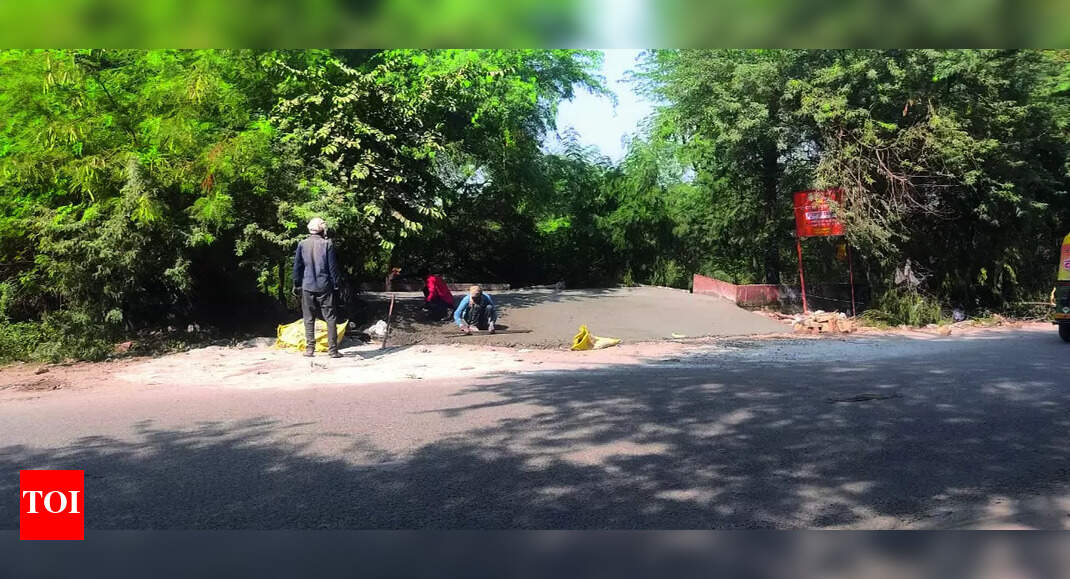 Surajpur Wetland: Road inside wetland? Greens see red | Noida News - Vimarsana News