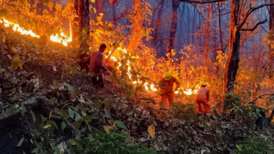 Uttarakhand: 47 new fires raze 78 hectares forest land across state
