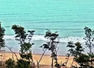 Bay of Bengal a carbon sink, says IIT-Madras study