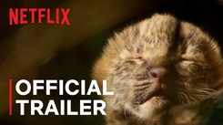 'Living With Leopards' Trailer: Alex Parkinson starrer 'Living With Leopards' Official Trailer
