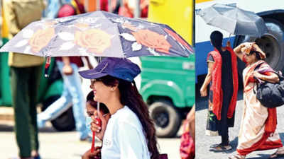Black umbrellas may be your best bet under punishing sun, says IMD