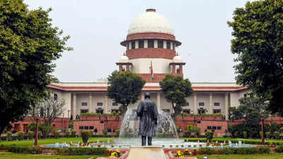 Supreme Court issues notice to ex-wife; stays execution proceedings against US-resident in Rs 3 crore DV case payout