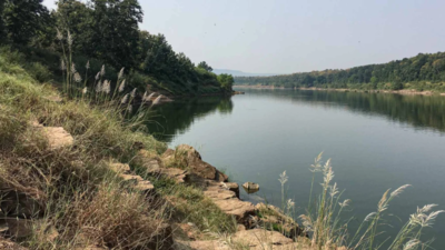 Raintree Foundation to undertake rejuvenation of Shastri River Basin in Western Ghat