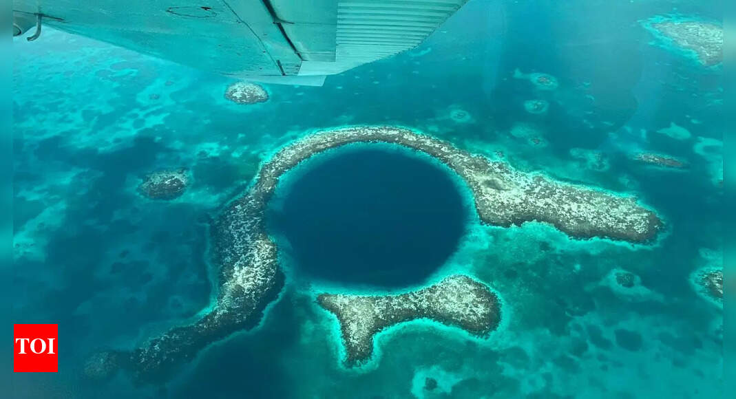 Scientists discover deepest blue hole in the world Times of India