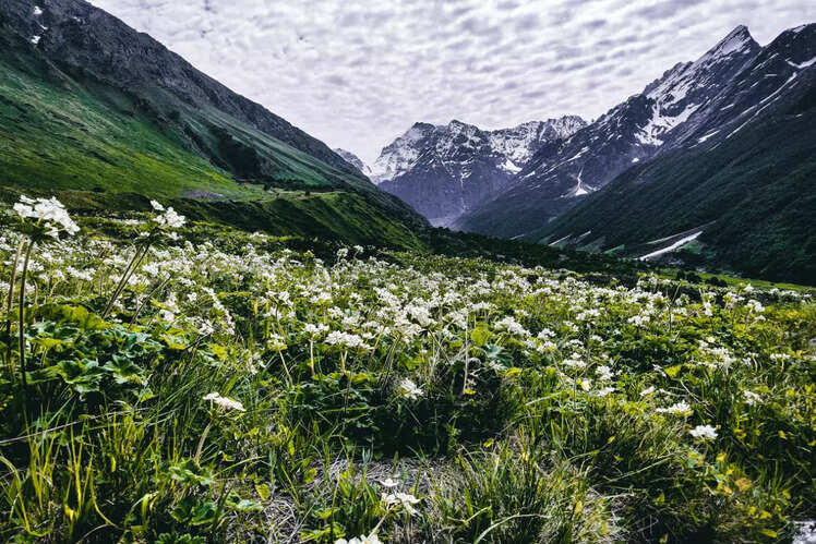 Valley of Flowers National Park, Uttarakhand