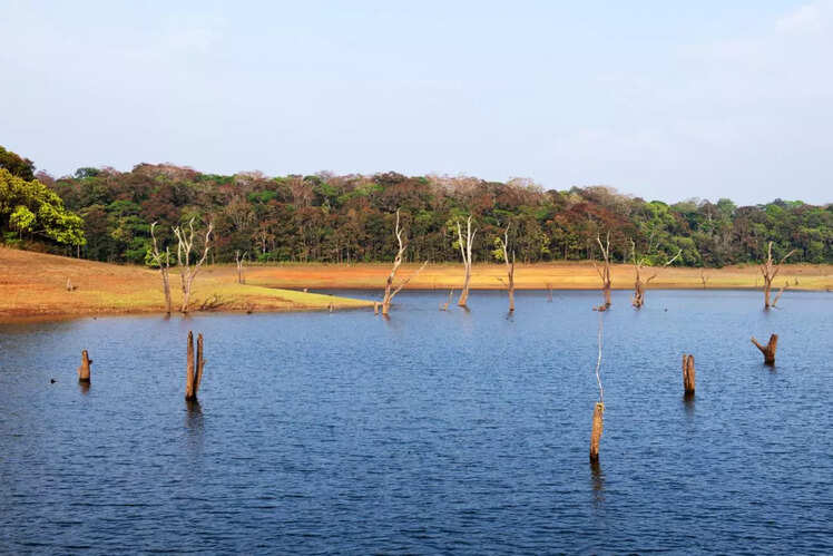 Periyar Wildlife Sanctuary, Kerala