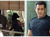 Salman case: Police probing 'terror' plot