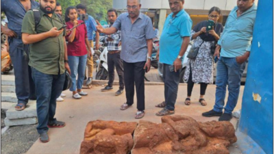 Goa: 16th century idol discovered during Smart City digging