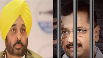 Punjab CM Bhagwant Mann meets Arvind Kejriwal in Tihar Jail, says health fine