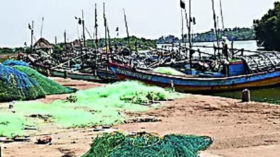 Telugu-speaking fishermen return to Andhra to cast votes