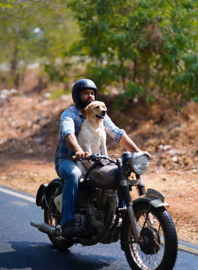 Kannada film 777 Charlie now has a connection with Hachiko: A Dog's Tale