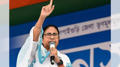 'Serious apprehensions about...': Mamata Banerjee raises concern over voter turnout increase, questions EVM credibility