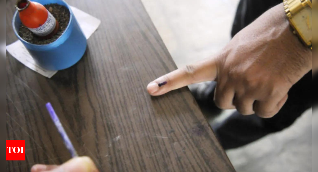 Accused of delay, EC clears air on turnout data drill | India News – Times of India