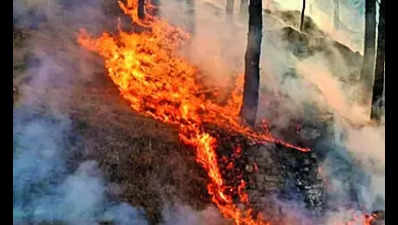 State records 40 more new wildfire incidents