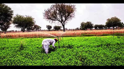 Sriganganagar launches online irrigation system