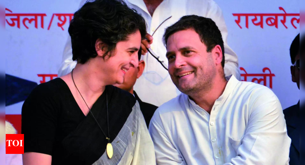 Theory of Amethi as preferred seat for Gandhi family debut gains traction - Vimarsana News