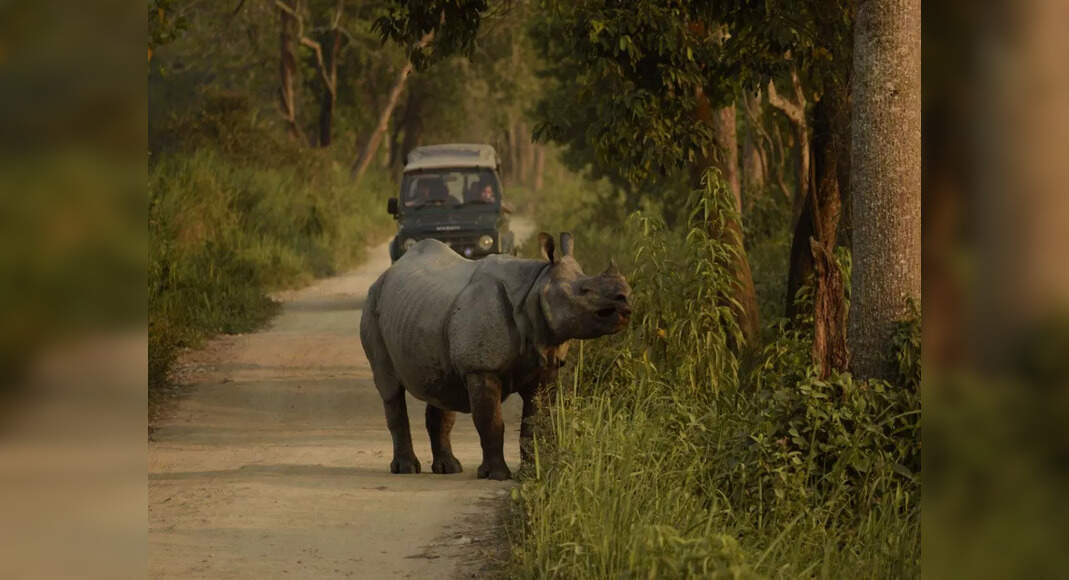 National Park Closing Dates Kaziranga National Park and Orang National