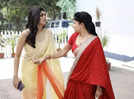 Alor Kole: Radha finally exposes Megha; Will Aditya stand by her side?