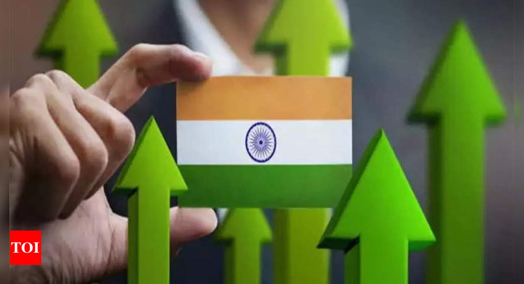 India to grow 6.6 % in next two years, driven by public sector demand: OECD – Times of India