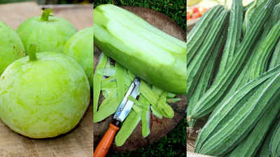 Explained: Tinda vs Torai vs Lauki-why these summer vegetables are so important