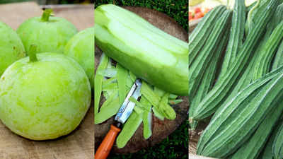 Explained: Tinda vs Torai vs Lauki-why these summer vegetables are so ...