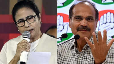 'BJP agent, traitor': West Bengal CM Mamata Banerjee attacks Congress over Adhir's 'vote for BJP' remark
