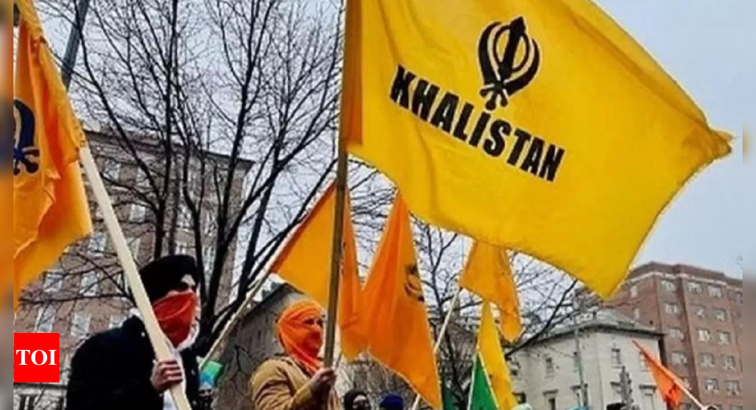 Labour councillor being investigated by her party for posts praising Khalistan terrorists – Times of India