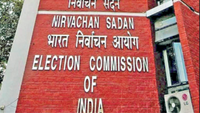 Will take call on BRS plaint today: EC to HC