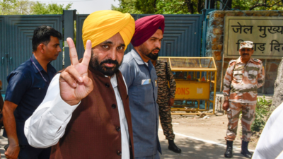 Supreme Court stays opening of road outside Punjab CM Bhagwant Mann's residence in Chandigarh