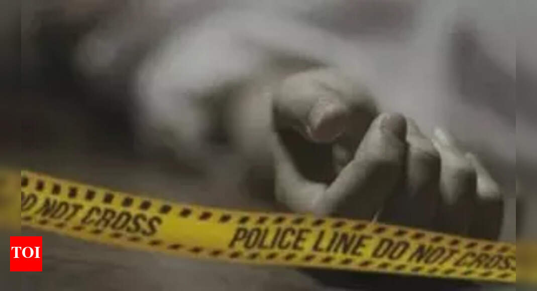 Inmate fatally killed after altercation in Jail No. 3 of Tihar Jail | India News - Vimarsana News
