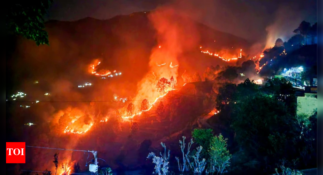 Uttarakhand forest fire claims third life in 24 hours | India News - Vimarsana News