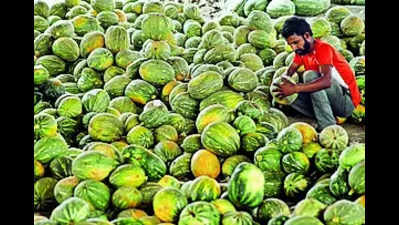 Pat for APEDA as agri product export rises 85% in 7 years