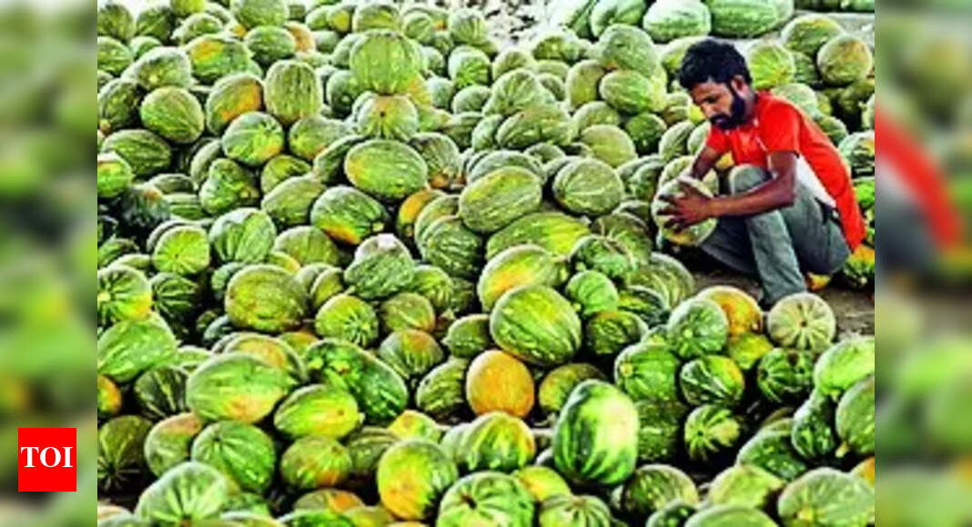Export: APEDA supports Northeast India in Agricultural Product Export Growth | Guwahati News - Vimarsana News