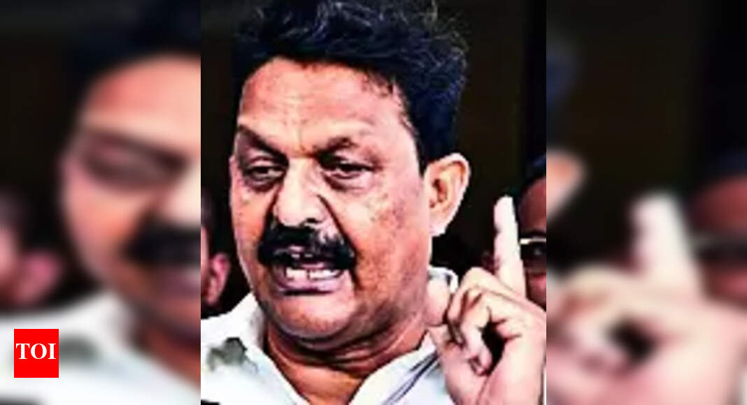 Allahabad HC: Allahabad High Court defers MP Afzal Ansari's plea against conviction till May 13 | Allahabad News - Vimarsana News