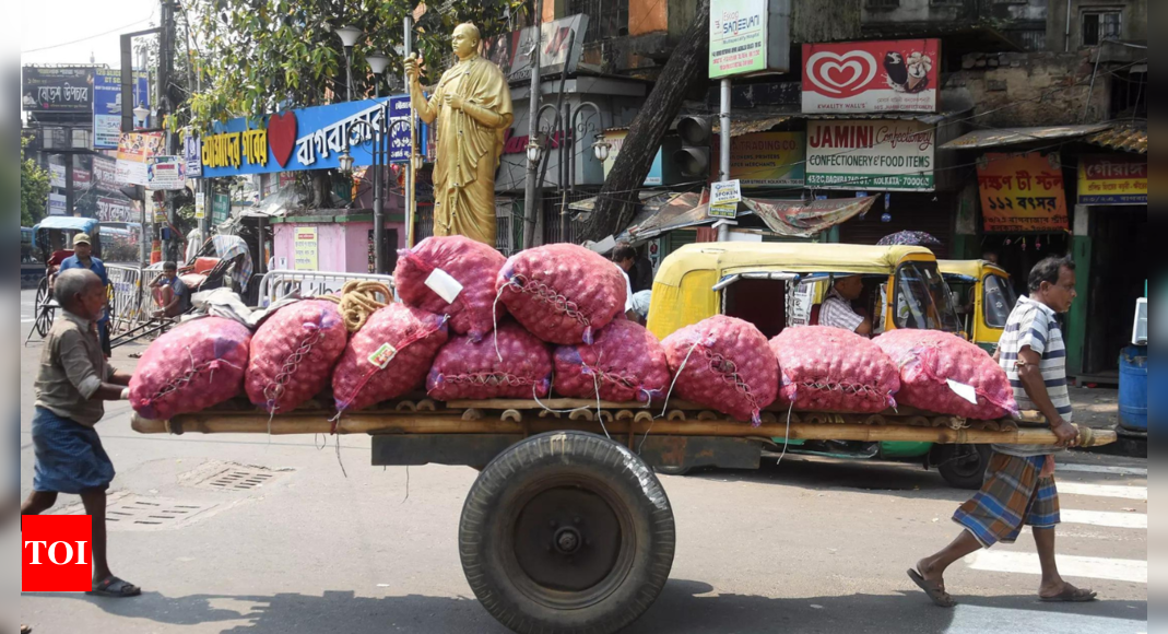 Govt lifts ban on onion exports before crucial poll phases in Maharashtra | India News – Times of India