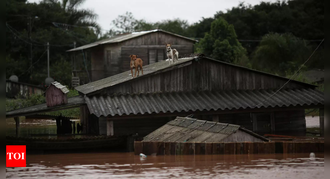 Dams strain as water, death toll keep rising in south Brazil – Times of India