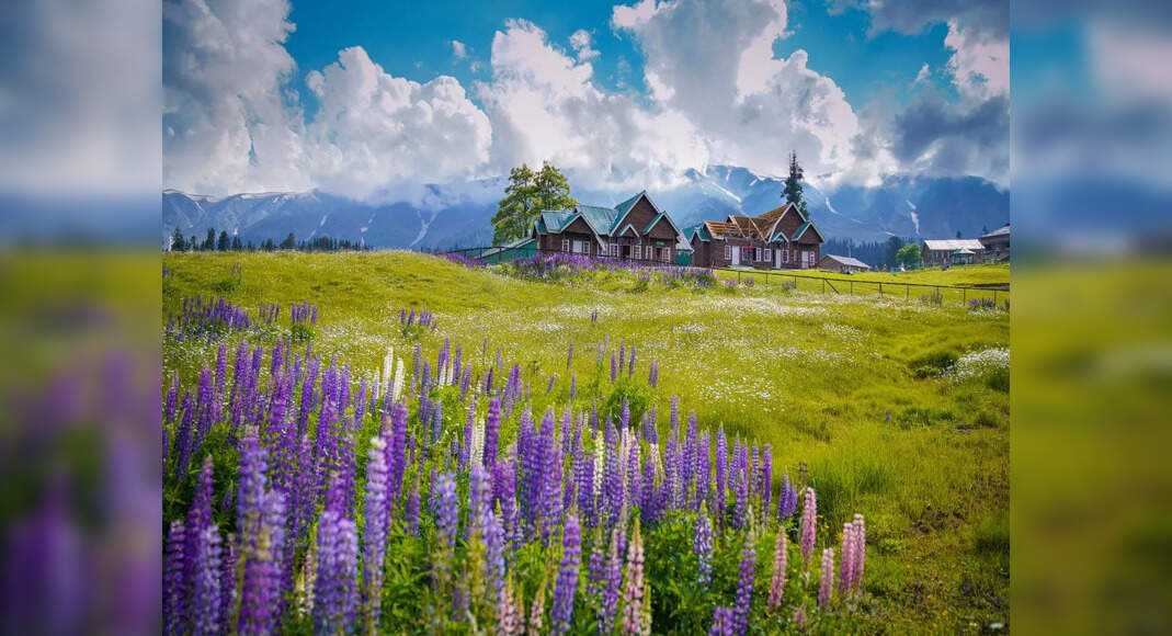 Discovering Kupwara: Kashmir's hidden gem waiting to be explored ...