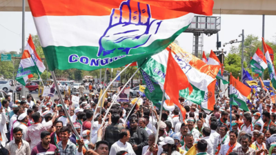 35 Muslim candidates contesting Lok Sabha polls in Gujarat; none fielded by Congress