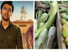 'Panchayat' season 3 release date promoted at vegetable markets, netizens think it's such a unique idea! - PICS inside