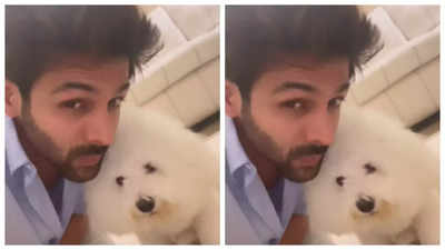 Kartik Aaryan's Sunday with his pet dog Katori is filled with love and kisses, this video is too cute to miss! - Watch