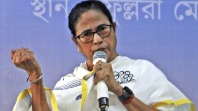 Sandeshkhali 'mistruth' spread by BJP using money, EC working under Modi govt's diktats: Mamata Banerjee