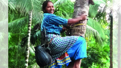 Can’t keep a determined woman down, shows Kerala’s first woman toddy tapper