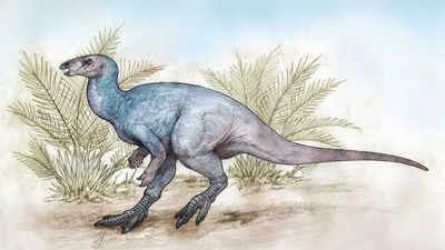 Is the discovery of a 90-million-year-old herbivorous dinosaur true?