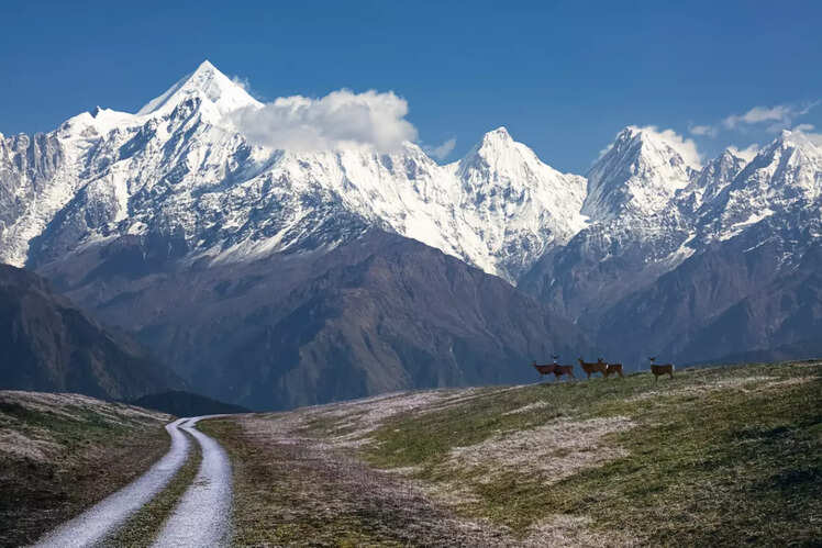 Munsiyari, Uttarakhand