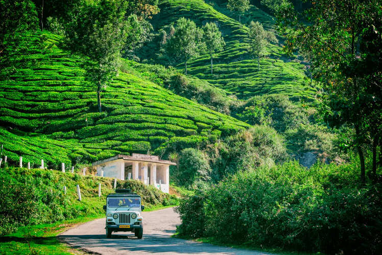 Munnar, Kerala