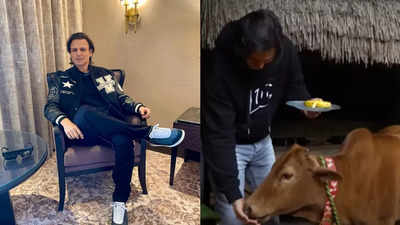 INSIDE Vivek Oberoi's Mumbai home: Goan farmhouse-inspired decor with cow and a 50-year-old classic bed