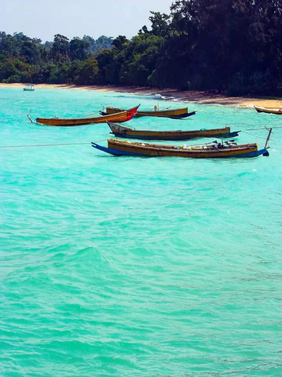 7 most beautiful islands to visit in India this summer | Times of India