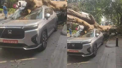 Bengaluru tree crash incident highlights Honda Elevate 5-star rating; read on to find out more